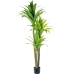 Dekorativ plante Alexandra House Living Plastik Dracaena 180 cm