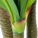 Pianta Decorativa Alexandra House Living Plastica Dracaena 180 cm