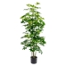 Dekorativní rostlina Alexandra House Living Plastické Schefflera 155 cm