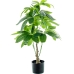 Decoratieve plant Alexandra House Living Plastic Waterpachira 90 cm