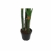 Decoratieve plant DKD Home Decor Polypropeen (PP) EVA (90 x 90 x 200 cm)