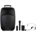 Tragbare Bluetooth-Lautsprecher FONESTAR MALIBU-315 Schwarz 250 W