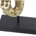 Büste Alexandra House Living Gold Kunststoff Elefant 16 x 31 x 39 cm