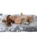 Deko-Figur Alexandra House Living Silberfarben Kunststoff 16 x 17 x 28 cm Kissen Jesuskind