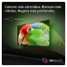 Smart TV Philips 55PML9019 4K Ultra HD 55