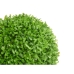 Plantă decorativă Ibergarden 550 Plastic Frunze Míč 27 x 27 x 27 cm (6 Unități)