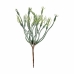 Branch Green Plastic 16 x 16 x 22 cm (24 Units)