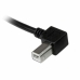 Cable USB A a USB B Startech USBAB2ML             Negro