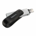 Pamięć USB SanDisk SDIX60N-256G-GN6NE Czarny Srebrzysty 256 GB