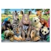 Puzzel Educa 15517