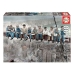 Puzzle Educa 16009