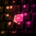 Gamer Billentyűzet SteelSeries APEX 3 TKL Spanyol Qwerty Fekete RGB