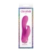 G-Punkt Vibrator NS Novelties Charms Pink