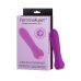 Mini Vibromasseur FemmeFun Ultra Bullet Violet