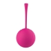 Bolas de Orgasmo Dream Toys Essentials Silicone ABS