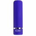 Mini Vibromasseur Evolved Petite Violet