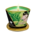 Massage Candle Green Tea Shunga 8401700 Green Tea