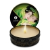 Candela Massaggio Shunga Exotic Green Tea Tè Verde 30 ml