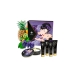 Kit Large Pleasure Shunga