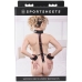 New Comers Strap komplekt Sportsheets Pegging Must