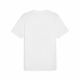 Camisola de Manga Curta Homem Puma GRAPHICS Mountain Branco