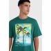 Heren-T-Shirt met Korte Mouwen O'Neill Jack Neon Living Lichtgroen