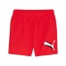 Calções de Desporto Puma Essentials+ AB