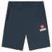 Sport Shorts Puma Blanck Ba Marineblå