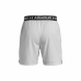 Sports Shorts Under Armour Vanish Grey