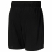 Sports Shorts Puma Run Fav 2In1 M