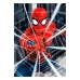 Puslespil Spiderman Educa 18486 500 Dele (1 enheder)