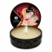 Candela Massaggio Shunga SHU119-ERDBEERE Champagne alla Fragola 30 ml