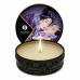 Candela Massaggio Shunga 4602 Frutta Esotica 30 ml