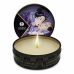 Candela Massaggio Shunga 4602 Frutta Esotica 30 ml