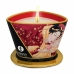 Candela Massaggio Shunga Champagne alla Fragola 170 ml