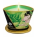 Bougie de massage Shunga 8401700 Thé vert 170 ml