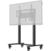 TV-holder Iiyama MD CAR2011-B1 80 kg