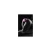 Plug Anal Sweet Caress Cor de Rosa