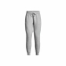 Long Sports Trousers Under Armour Fleece  Grey Lady