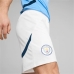 Adult Trousers Puma Manchester City 24/25 Men