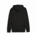 Men’s Hoodie Puma Power Colorblock Black