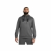 Herren Sweater mit Kapuze Under Armour Big Logo Grau