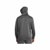 Herren Sweater mit Kapuze Under Armour Big Logo Grau