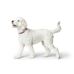 Coleira para Cães Hunter Vermelho 40-55 cm L