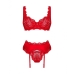 Conjunto de Lingerie Obsessive S/M