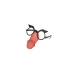 Lunettes Divertysex