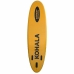 planche de surf Kohala Arrow School 2024 310 x 84 x 12 cm