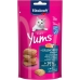 Lanche para Gato Vitakraft Cat Yums Salmon Peixe 40 g