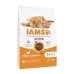 Cibo per gatti IAMS Advanced Nutrition Hairball Control Pollo 10 kg