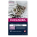 Jídlo pro kočku Eukanuba Grain Free Kitten Salmon Ryby 2 Kg